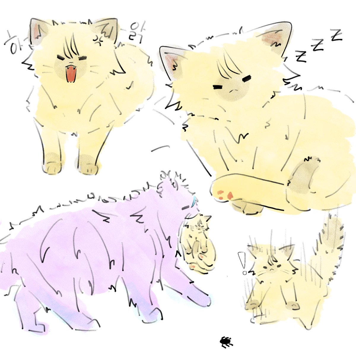 onion_powderrrr's tweet photo. 🐈냥냥🐈 https://t.co/g1usAxJi5k