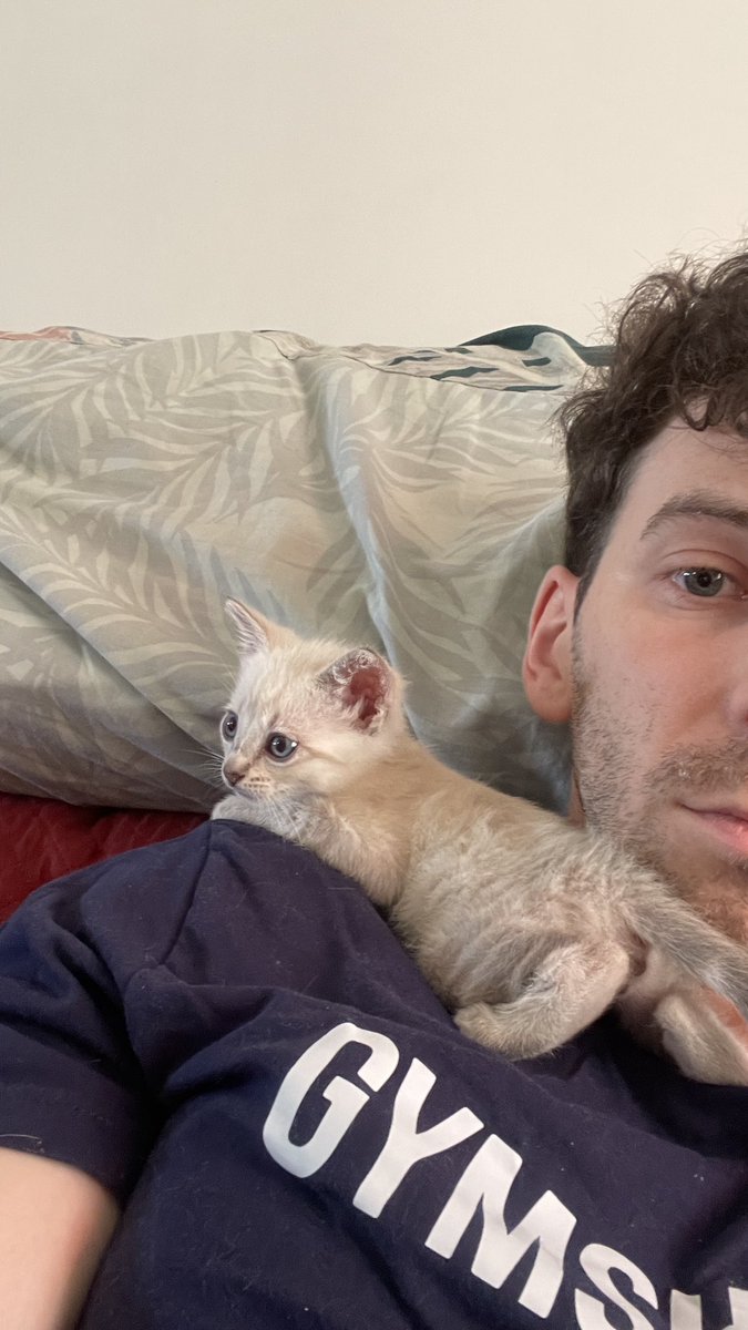 Mayster_Fit's tweet photo. 🔴 Mayster, Bombita y Bengala están en directo en Twitch, pásate a saludar! 💜

https://t.co/sm2WTRmaeD https://t.co/BZrqUfOKDK