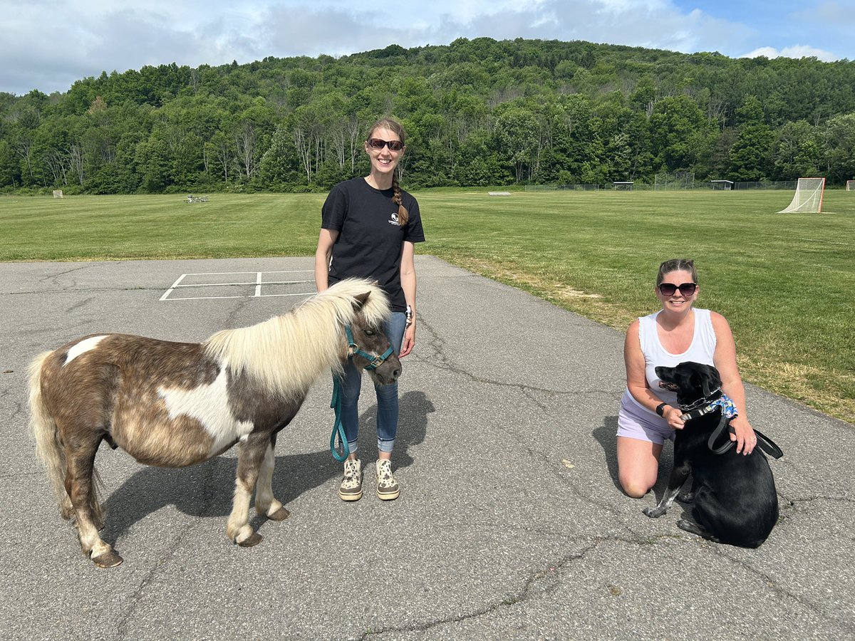 MECSDSpartans's tweet photo. What a special surprise!

Students at Maine Memorial welcomed three miniature horses, brought in by ENL Teacher Amy Decker!

The horses are a great source for therapy and work to spread calmness. 

A huge thank you to Mrs. Decker,  Twisted Roots Ranch and Unbridled Equine! https://t.co/rqXNLL9CL8