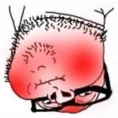 unouoɹd ᴉɥɔᴉǝʞoM tweet media