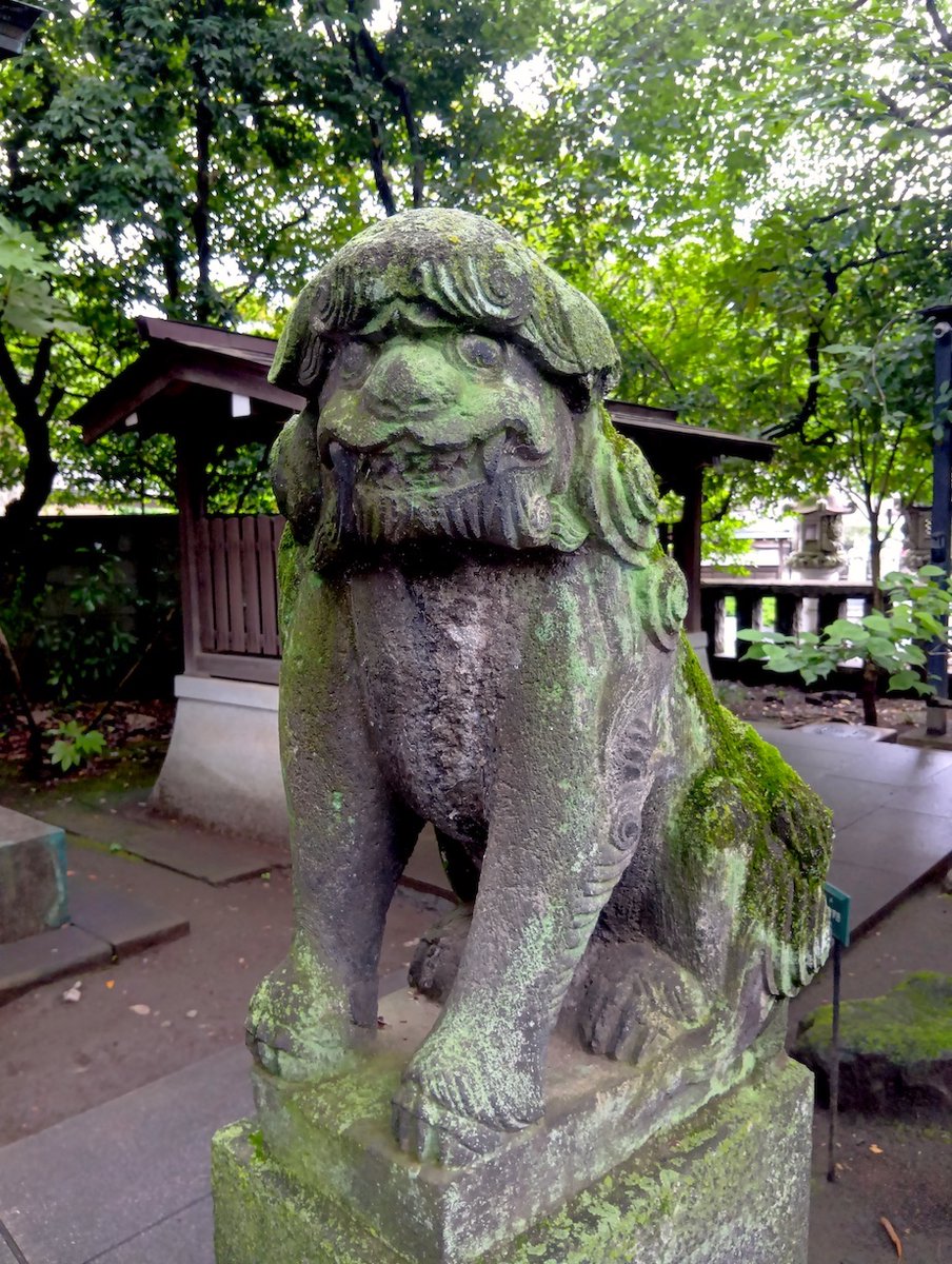 navetin's tweet photo. この時期の神社は鬱蒼としていて良いな。 https://t.co/CDyjK82QOz