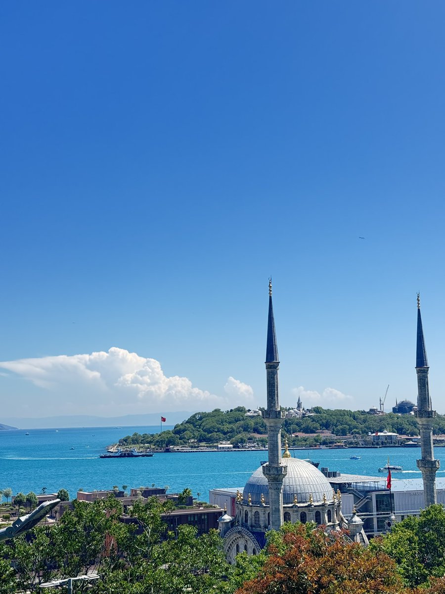 servi tweet media