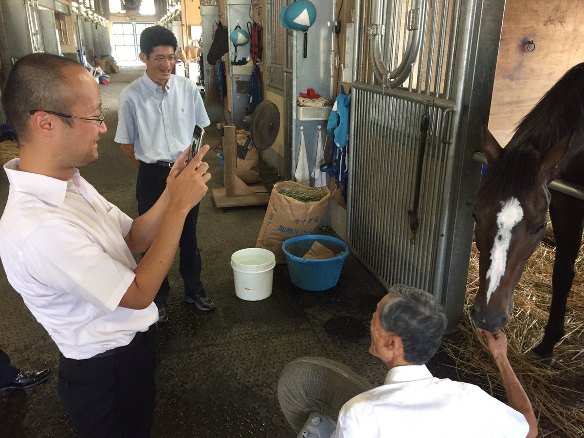 watanabe_1984's tweet photo. 競馬駒の反響がすごくて、非売品をもらってしまって申し訳ないです😅
(欲しいという声、多数でした)

競馬ファンの方にたくさん見てもらったので、こういうグッズは将棋普及にとても有り難いことが改めて分かりました❗️

コメントでロードカナロアの香港表記が「龍王」だから、飛車なことに納得💡

カルストンライトオ(香車)
オジュウチョウサン(桂馬)

はピッタリという感想も多かったです。
ゴールドシップ(角)のゲート不安説も🤣
▲76歩とゲートが開いたら、出て欲しいですがw

かなり将棋と競馬に精通している人が考えてますよね、この駒。自分ではないです😅

棋士の競馬ファン🏇で実際に誰が指してくれるか。阿久津さん、広瀬さん、近藤誠也、佐々木大地くん、高見くん。

高見くん🦅には近く会うなあ🤔

写真は①②2019年、美浦トレセンで見せて頂いたオジュウチョウサンです。和田正道元調教師に将棋でお世話になっている関係でご子息の和田正一郎厩舎を訪問しました。
この時、オジュウに肩を噛まれたのですが、そこから将棋の成績が上がったので、ご利益があったようです。もう1回、噛んで欲しい(ぇ

③2019年、和田牧場に放牧に出ていた時のオジュウチョウサンと。

④2019年に青森県荒谷牧場で見せて頂いたウインバリアシオン。引退して数年、経っていましたが、すぐにレースに出られそうな雰囲気がありました。