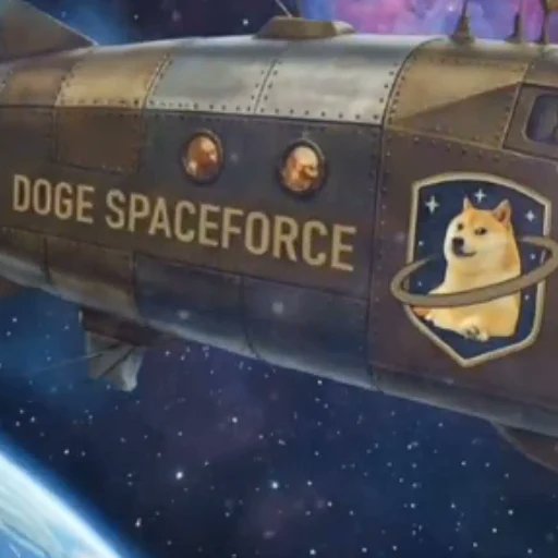 blakeinu01's tweet photo. did nobody notice the official doge account tweet a new spaceforce called 'doge spaceforce' hello??  

this is genny https://t.co/izjCvHnXbB