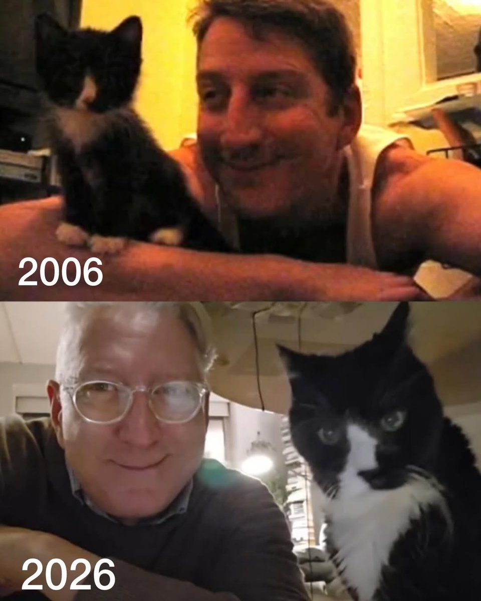 awkwardgoogle's tweet photo. Man celebrates his beloved cat's 20th birthday after two decades of love and memories https://t.co/DXisAdDtqo