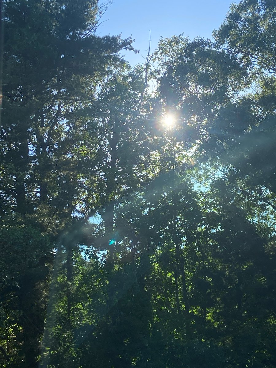 itskaihanma's tweet photo. As someone’s who’s work keeps them indoors

That daily 10 minute walk does numbers on the mental https://t.co/H9v0BOIGwV