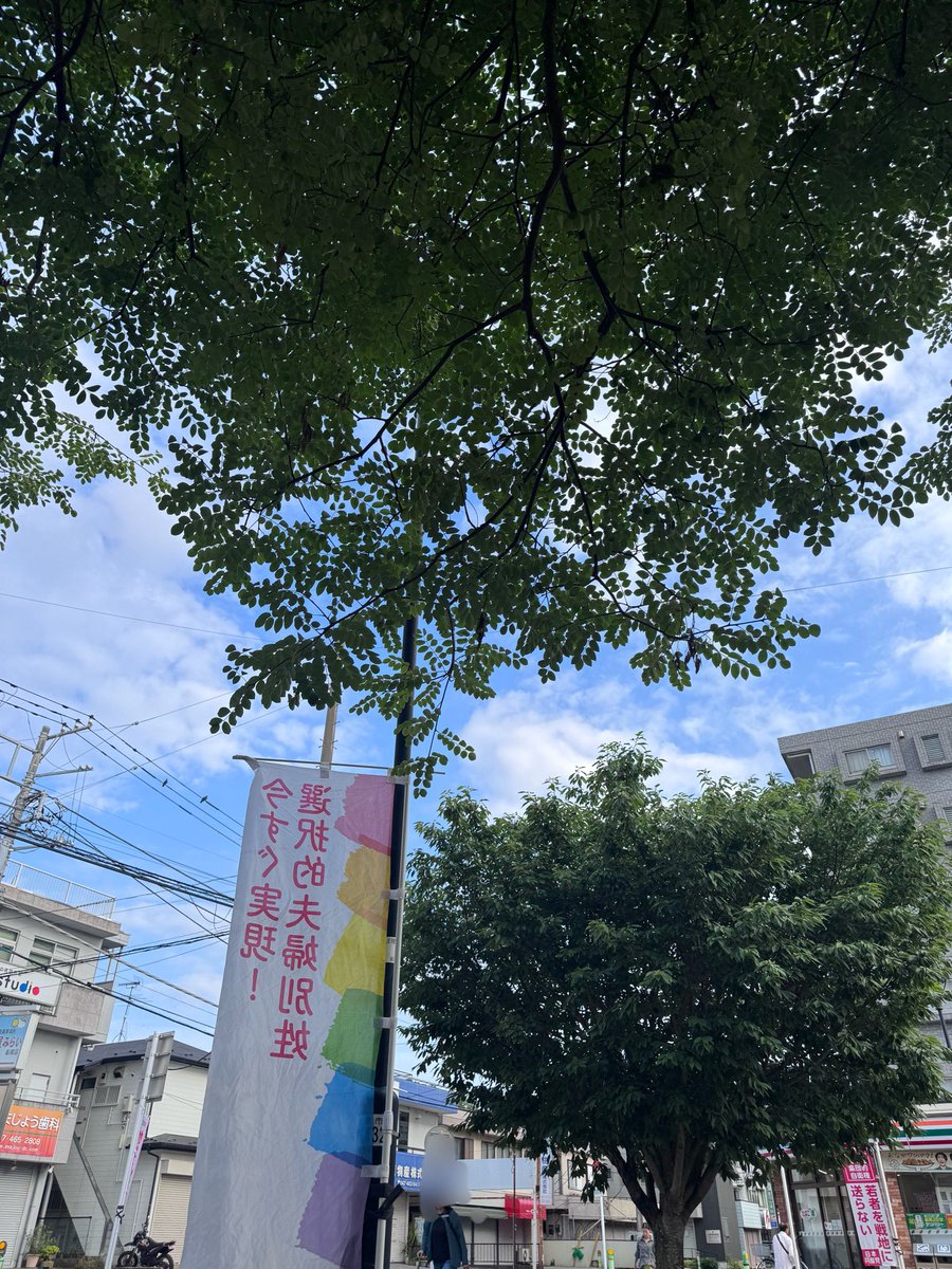 peacegorie's tweet photo. 暑くもなく寒くもない、朝宣を楽しめる季節です。今朝6/11は薬園台駅の西側で。緑陰と言うにはまだ早いけれど、葉っぱを下から見上げるとレースのようで、好きです。 https://t.co/uxzfHhz0JN