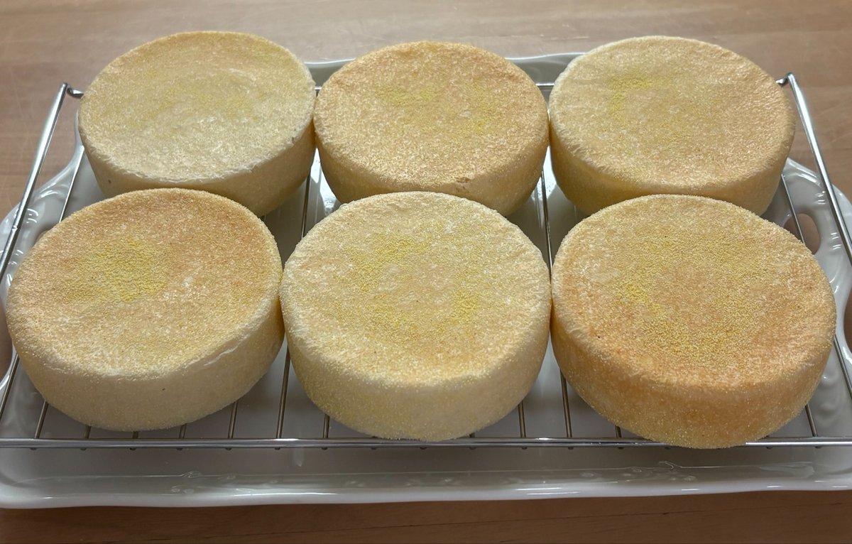 pokemonkaochi's tweet photo. 朝ごぱん🍞
マフィン型で焼いたミニメロンパンと
イングリッシュマフィン。
両方とも生地はホームベーカリー。

昨日は末っ子が体育の授業で腰痛めて
お迎え行ったり通院したりで
大変だった💦
今日はのんびりしよ😌

#シロカ
#ホームベーカリー https://t.co/5WOT0jNGS8