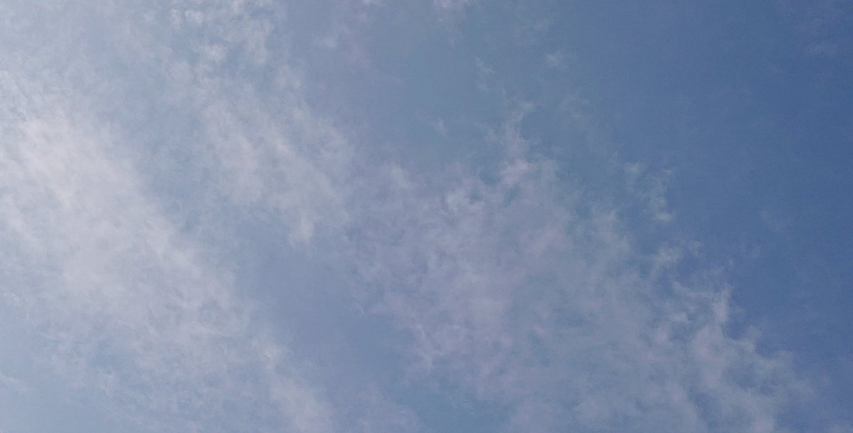 likeflowerrin's tweet photo. 皆さま、おはようございます🎶🐔🐣✨

久しぶりに青空です☀

今日も1日よろしくお願いします🤗🍀

 #朝そら https://t.co/KedXftoSA0