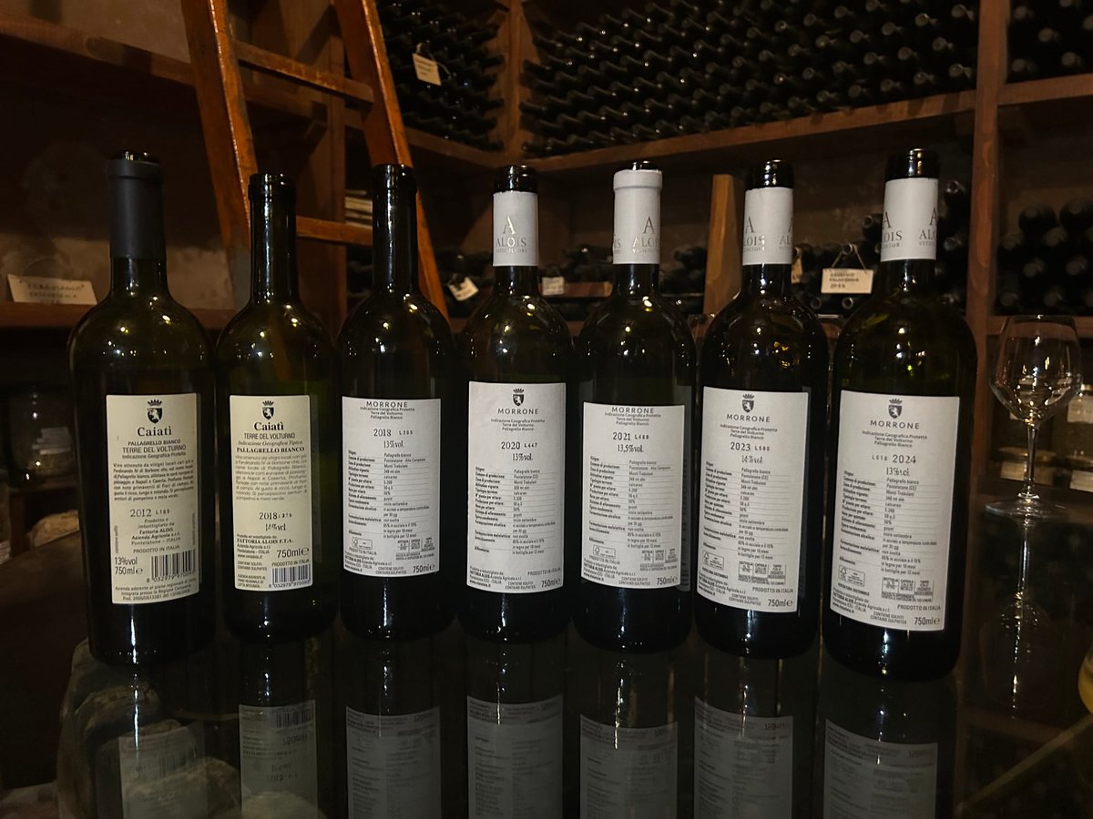 cantinealois's tweet photo. Le Pallagrello Bianco mérite ses lettres de noblesse."

Marie Joanna Roginska racconta l'Alta Campania, il Pallagrello Bianco e la visita a Cantine Alois durante Campania Stories 2026.

👇

https://t.co/PTmVVHrIrf

#vinialois #casavecchia  #campaniacontemporanea https://t.co/Iq4xb1UyVd