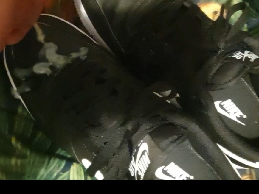 LytnD's tweet photo. Recent load on a new pair of AF1s! https://t.co/lkd2dD3WiN