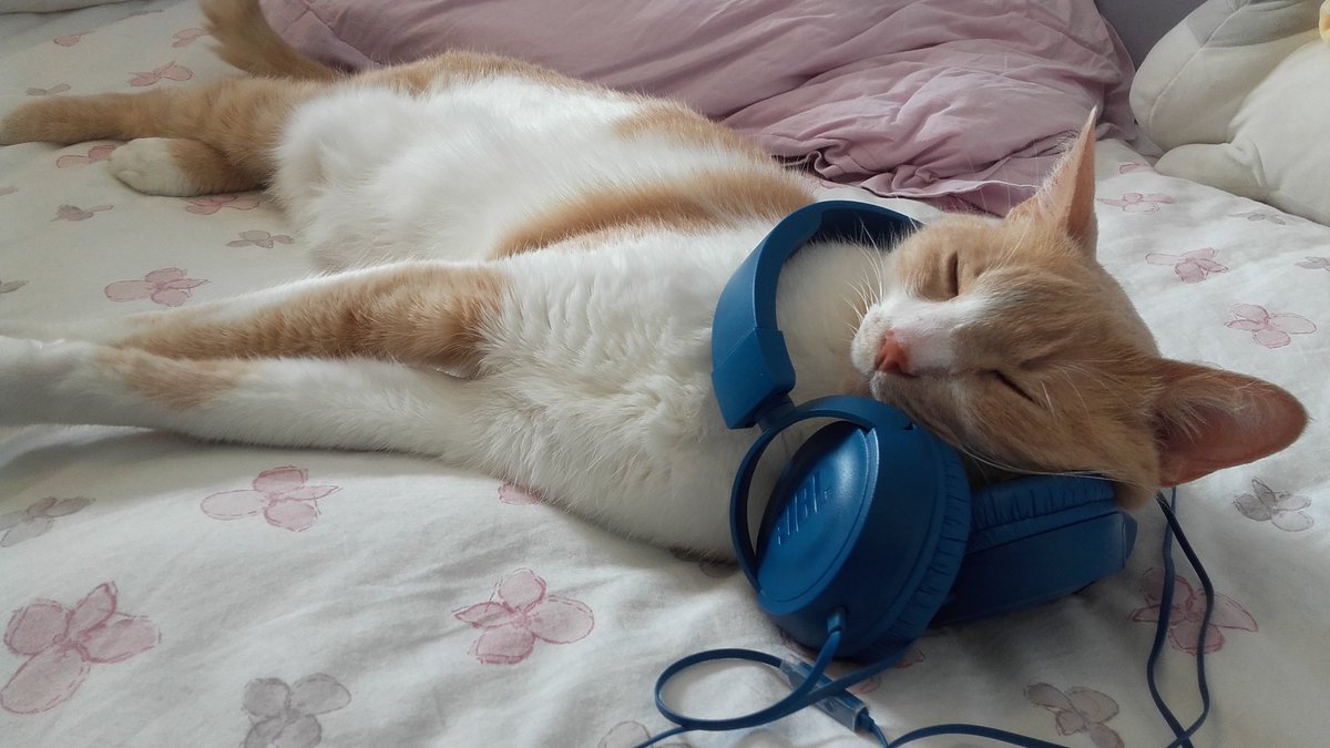M___Cassidy's tweet photo. Te quiero tanto mi gordo, hoy hubieras cumplido 17 años...quisiera poder traerte de vuelta y abrazarte y sólo puedo ver tus fotos y extrañarte. https://t.co/etVOdeJHp5
