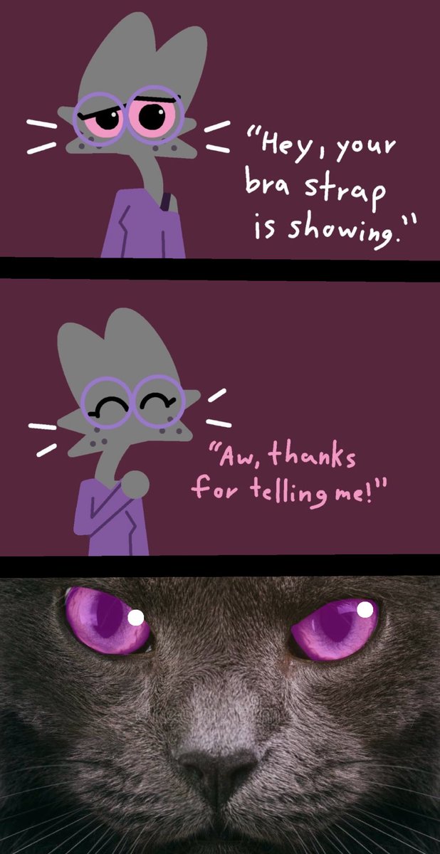 KapsKat_'s tweet photo. https://t.co/gvJvj8n9Es
