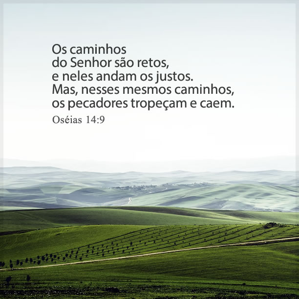 diz_a_Escritura's tweet photo. Para os justos, porém, o caminho é reto. Tu, que ages com retidão, tornas plano o caminho adiante deles. Senhor, ao seguir tuas justas decisões, depositamos em ti nossa esperança; o desejo de nosso coração é glorificar teu nome. (Isaías 26:7,8)
#Bíblia https://t.co/6PrCrDWYbS