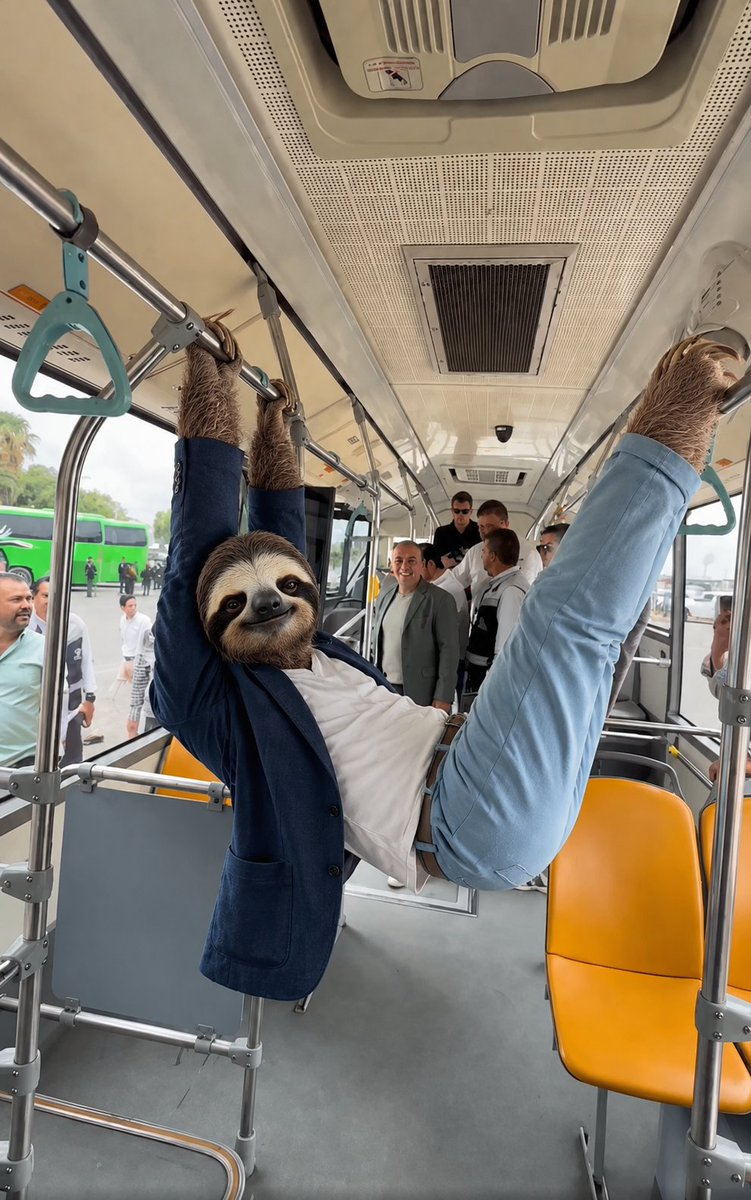 antigacho's tweet photo. @DiariodeGDL https://t.co/hDsf9nUp79