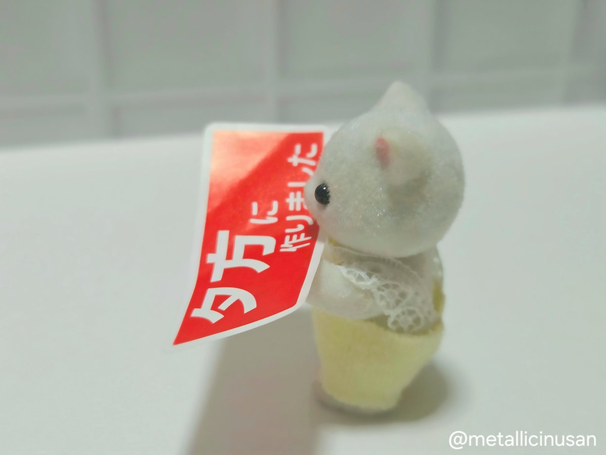metallicinusan's tweet photo. 🐱あたらし し～～るだ！
 #シルバニア
 #シル活 https://t.co/7ZfahmIziS