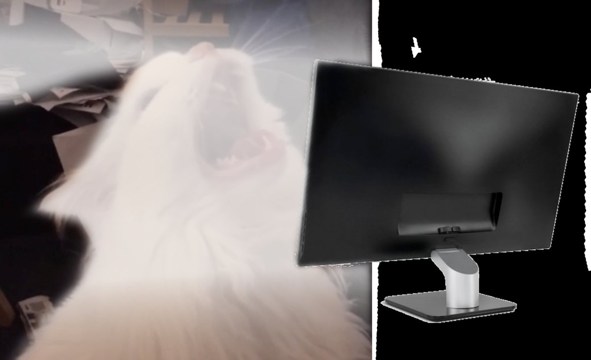 Lsdtj8's tweet photo. Eu sei que tem alguem no meu trabalho usando meu pc quando eu nao to pq sempre que eu chego o brilho ta no 100 e eu só uso no 45 👀👀 https://t.co/5M1rsg92dx