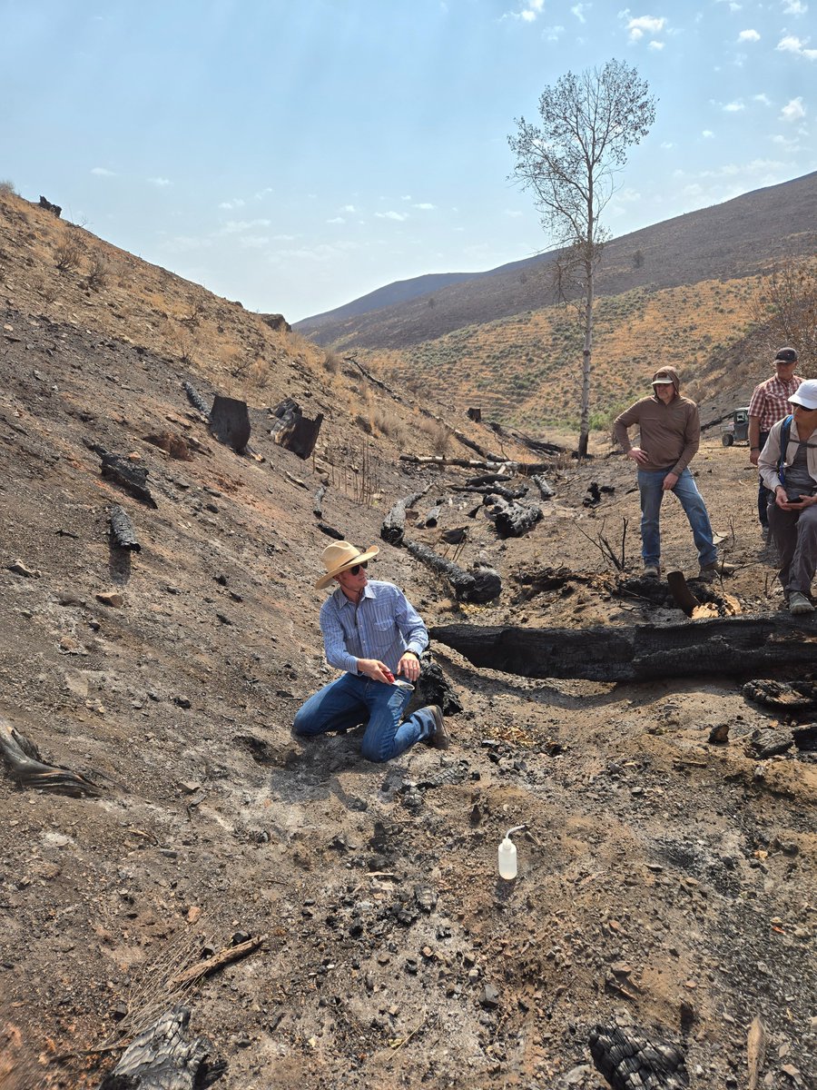 USDA_ARS's tweet photo. ARS researchers in Boise, ID, are providing ranchers and land managers with multiple solutions including prescribed grazing periods for cattle. Targeted grazing can reduce the incidence and severity of wildfires. These images show ranchers and their federal partners discussing the aftermath of a massive wildfire of over 100,000 acres in southeast Oregon. 
Learn more at: https://t.co/C60ZulrAsd
#ScientificDiscoveries