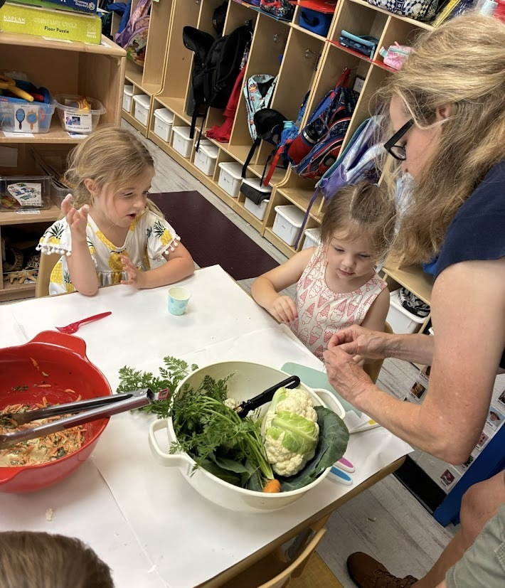 MTSDnews's tweet photo. Today WES preschoolers had a wonderful Garden Harvest Day!  With help from "Super Volunteer," Tammy Rousseau, they picked carrots, cauliflower &amp; cabbage, then made coleslaw, enjoyed carrots with ranch &amp; cauliflower pizza.  Learning &amp; fun all day! More at https://t.co/SVkGebC16H https://t.co/fYfoR3f0nO