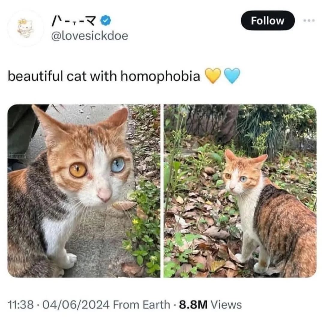 BananaGoose15's tweet photo. https://t.co/pI6ciBqTpr