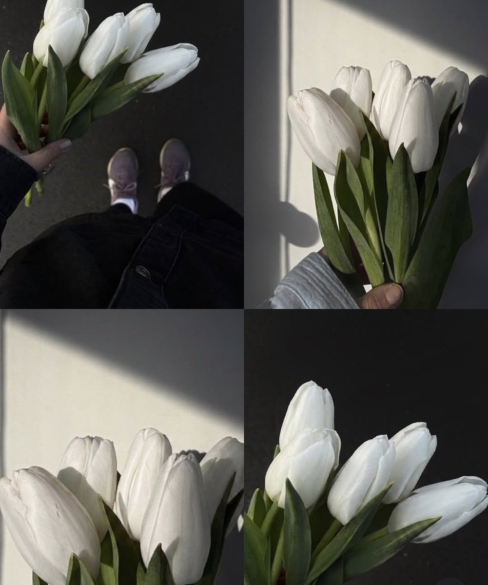 silenttearthh's tweet photo. black and white tulips https://t.co/x9qKW12Xek