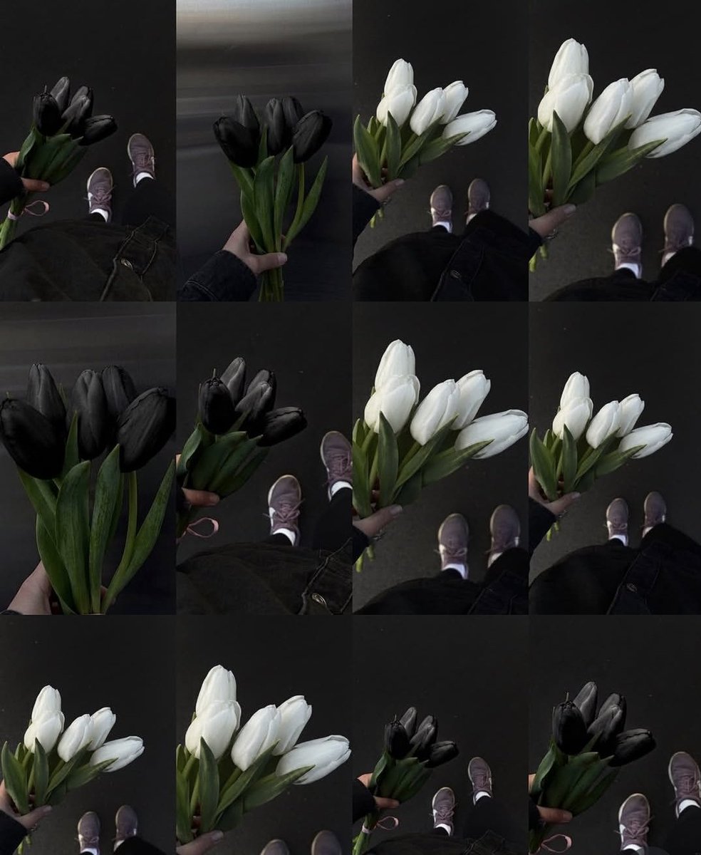 silenttearthh's tweet photo. black and white tulips https://t.co/x9qKW12Xek