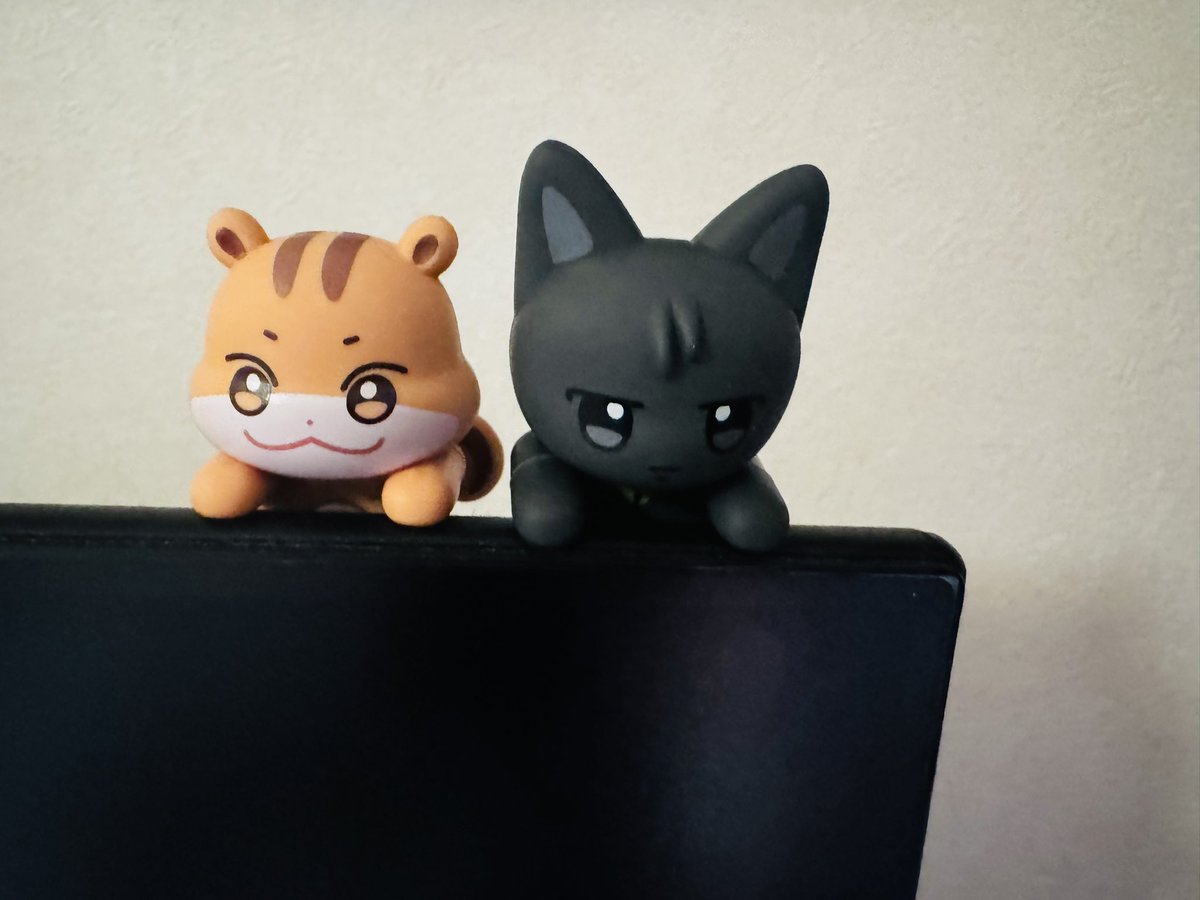 LoveAttez's tweet photo. やーん可愛い
けどウヨにゃんwwwwwwww
同化してるwwwwww
#ANITEEZ https://t.co/abAM1rafjF