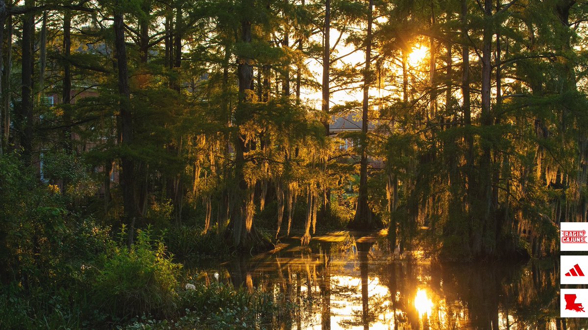 RaginCajunsSB's tweet photo. No better place to call home 🫶

#GeauxCajuns https://t.co/ZB12p8cunI