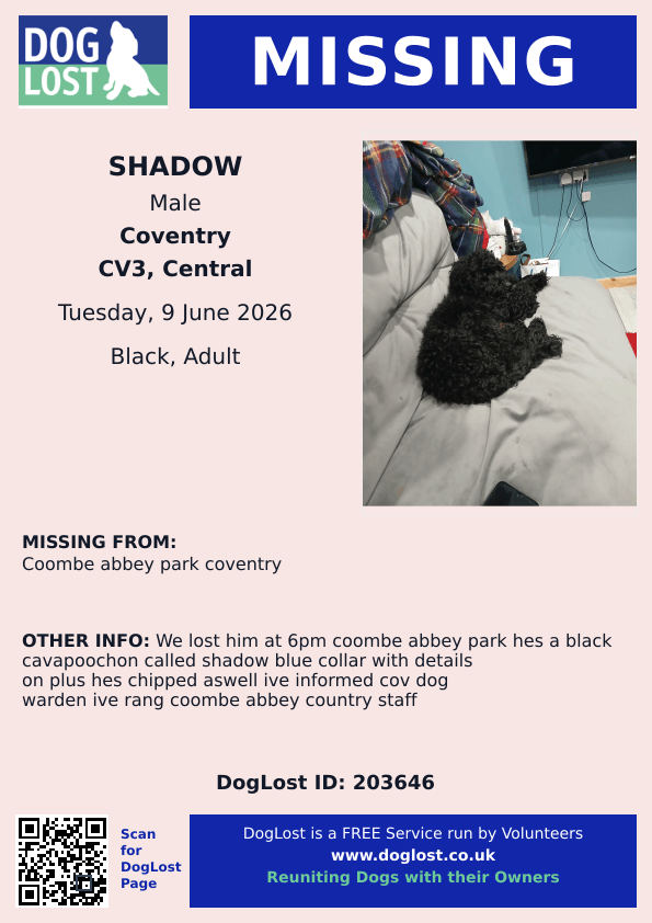 millypod1's tweet photo. ๐9 JUNE 2026 #Lost Shadow #ScanMe
Black Cavapoochon Male
Coombe Abbey Park #Coventry #CV3
Coventry #Warwickshire
https://t.co/JhWEu1OSxs https://t.co/B71Wz6bw04