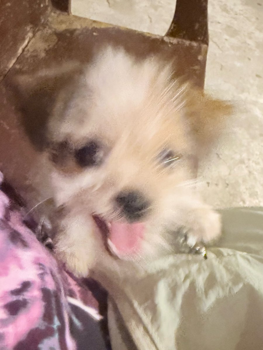 wedwooo's tweet photo. :D https://t.co/mZzcjQQWGm