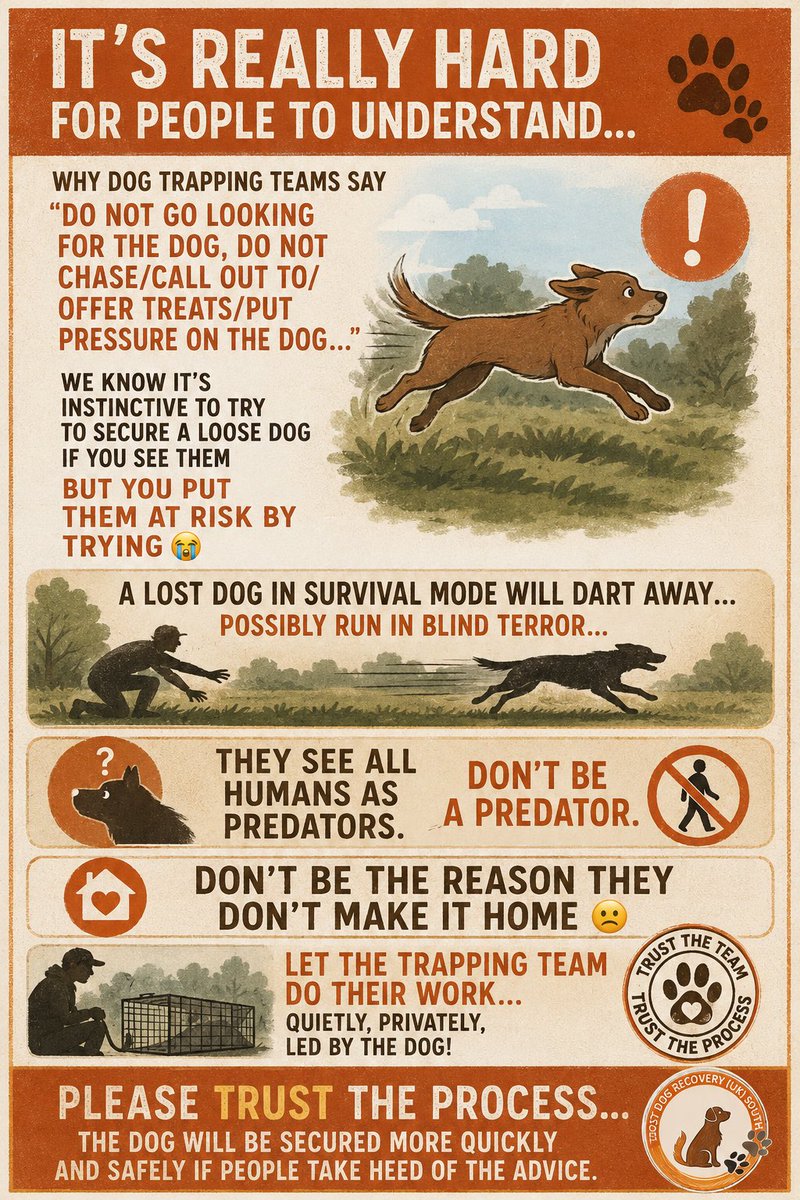 RecoveryDog tweet picture