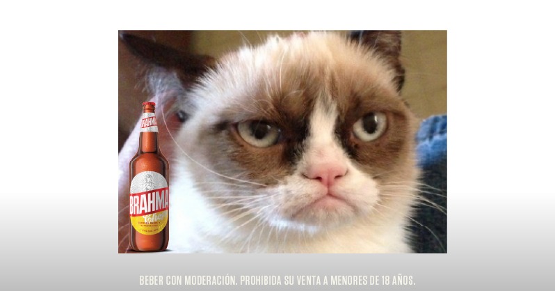 CervezaBrahma's tweet photo. Mis caras cuando me dicen que no están para unas birras