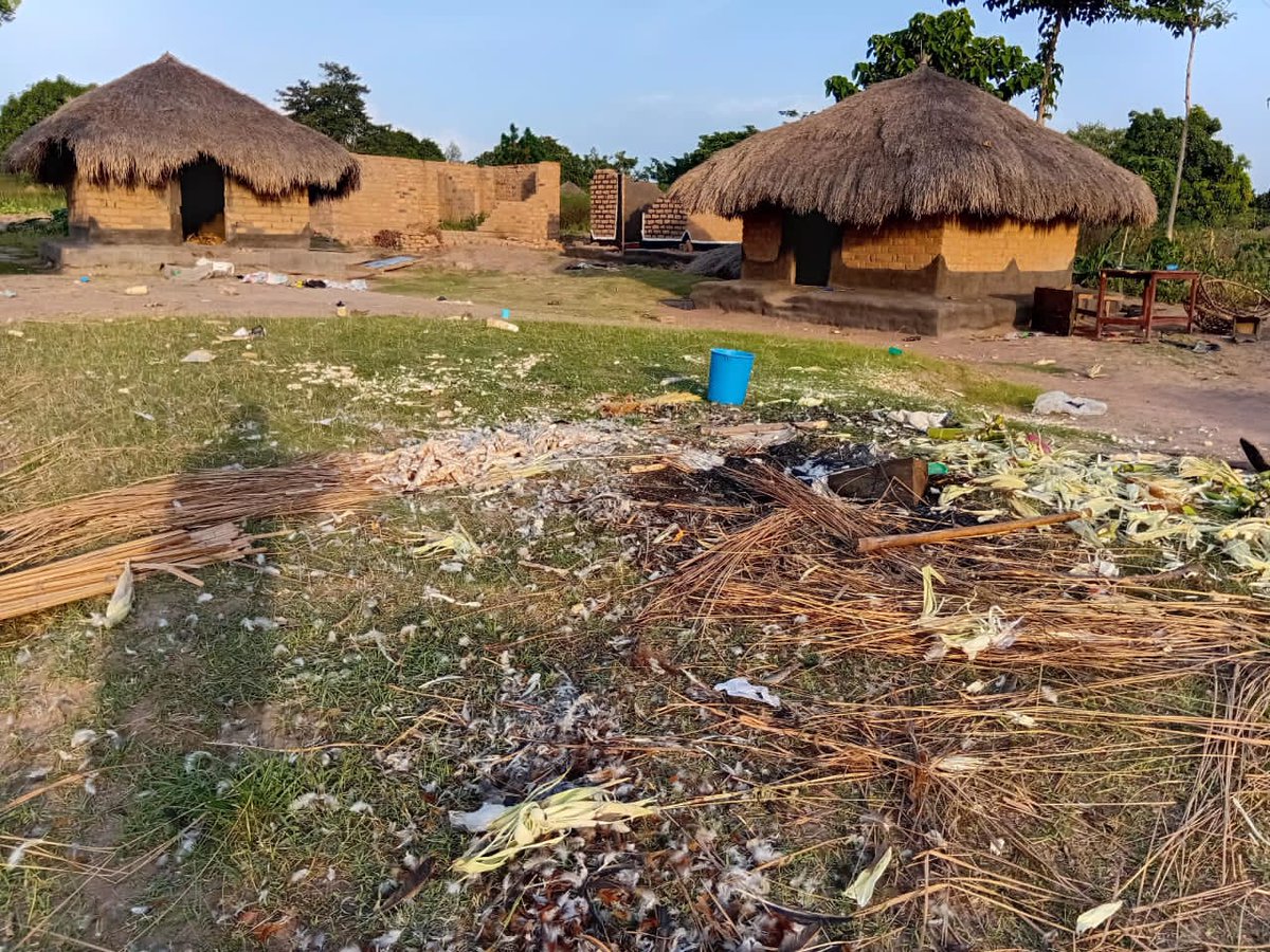 RadioPacisnews's tweet photo. The death of a pregnant woman in Odrufuni Ward, Leju Town Council, Terego District, has sparked chaos, leading to the demolition of houses and destruction of food crops and animals.

According to eye witnesses, relatives of the deceased allegedly carried out the destruction. https://t.co/51fwtULepd