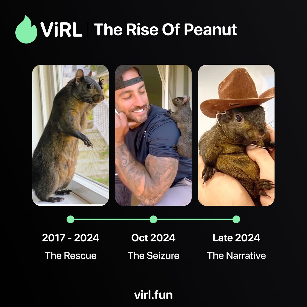 virlfun's tweet photo. one squirrel.

one decision.

millions chose a side. https://t.co/rUlLSQYWWl