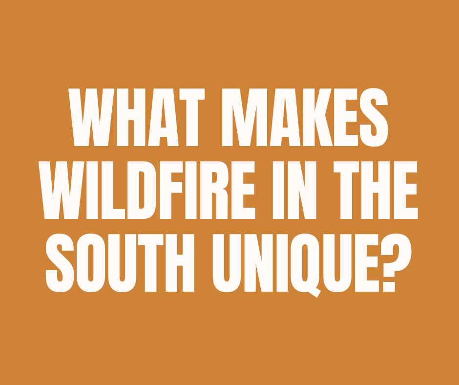 SGSF_Forests's tweet photo. With year-round wildfire activity, a rapidly growing number of homes and communities near forests and natural areas, and a high share of human-caused ignitions, the South prioritizes fast, locally coordinated response and proactive mitigation. Learn more: https://t.co/zFjCw5rkHb https://t.co/SBffCsNmWz