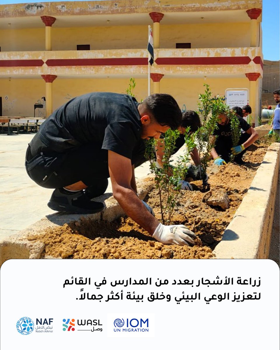 nbdhalamalorg's tweet photo. ضمن مشروع “مسار نحو مجتمعات سليمة ومرنة” الممول من المنظمة الدولية للهجرة (IOM)، أُطلقت في قضاء القائم مبادرة لزراعة الأشجار والنباتات في عدد من المدارس، بهدف تعزيز الوعي البيئي وخلق بيئة تعليمية أكثر استدامة وجمالاً. https://t.co/9g0LYBa9lO