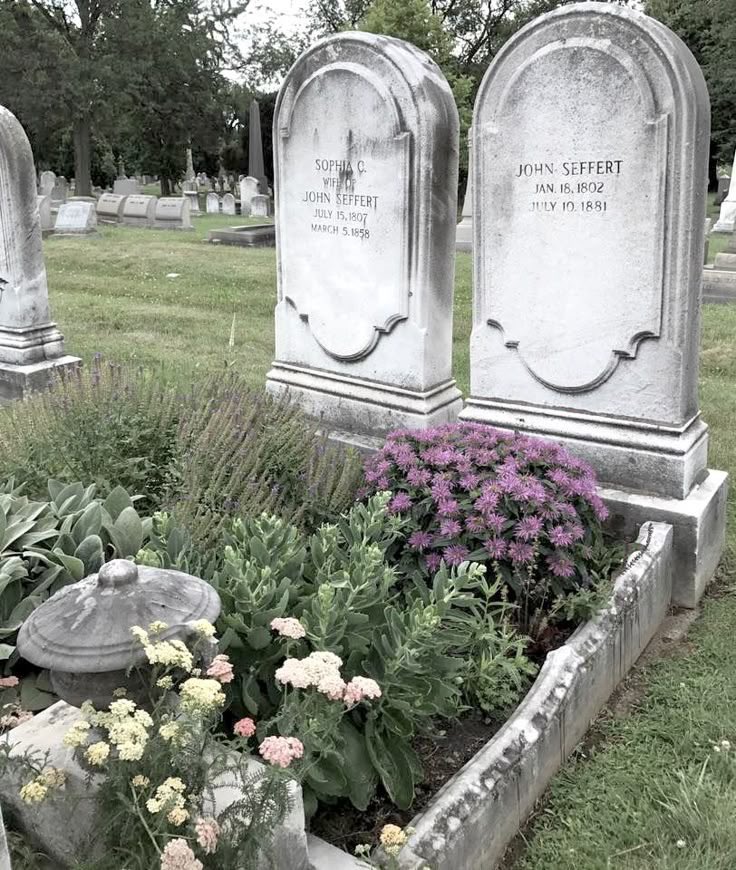 bIoodfangs's tweet photo. me and my lover when we’ll be buried side by side, our bodies nourishing a little garden above us while we haunt the cemetery together forever🪻♡ https://t.co/3iUpMJ7vds