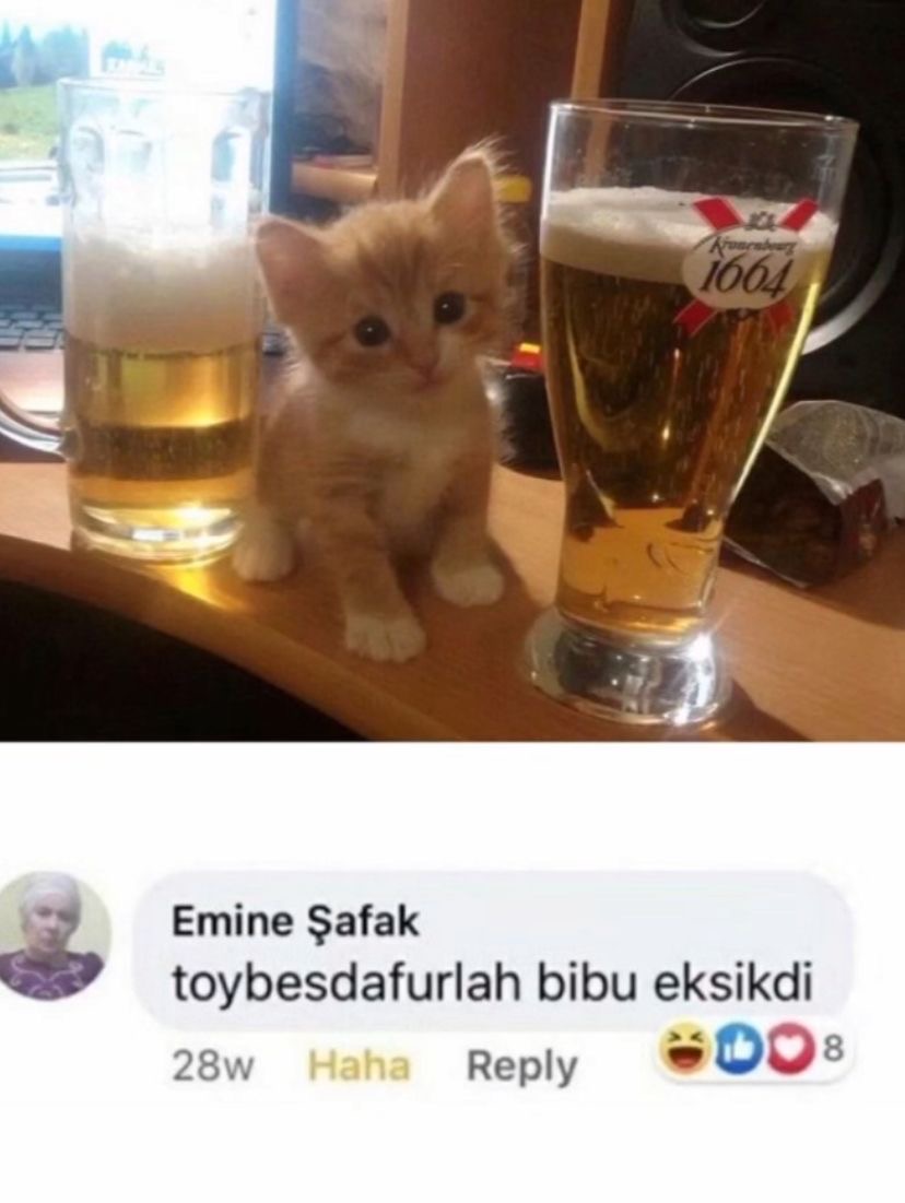 onylfans's tweet photo. Namjoon arirang plak aldık bekliyoruz bakalım https://t.co/CnIoU44MfB