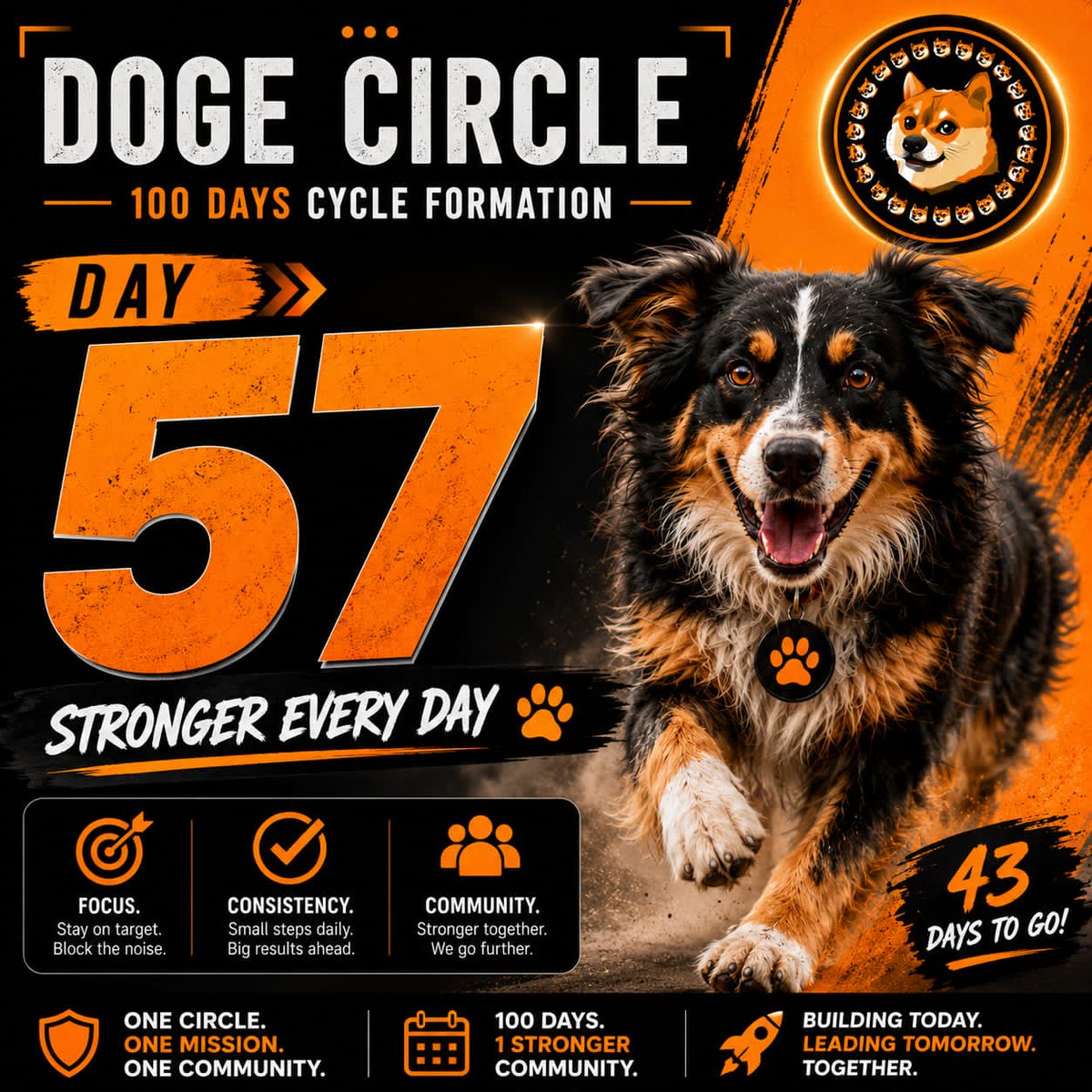 Sesugh6612's tweet photo. 🔥 Day 57/100
Consistency wins.
57 days of growth.
57 days of commitment.
57 days of building a stronger Doge Circle.
The mission continues and the community keeps expanding.
43 days to go. Let's keep the momentum alive. 🐶🚀
#DogeCircle #Day57 #100DaysChallenge https://t.co/RYF4uG7OLQ