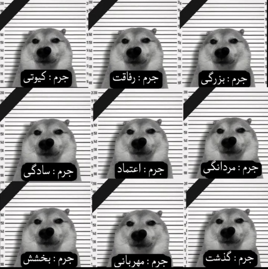 ilimpid_'s tweet photo. من😂 https://t.co/yYKmZa4prP