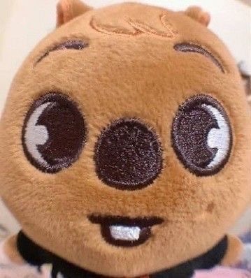 d1sorderlynoise's tweet photo. i love han quokka’s stupid little face so much https://t.co/aALCRYYVao
