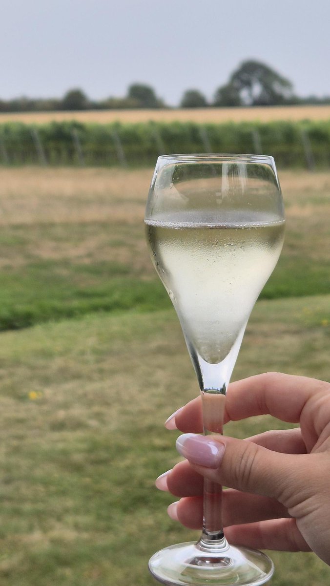 VineyardMagGB's tweet photo. Celebrating English Wine Week (20 – 28 June 2026)

If you’re running activities throughout English Wine Week, #WineGB would love to hear from you. See their website for details.

#VineyardMagazine #EnglishWineWeek https://t.co/dvwchmocao