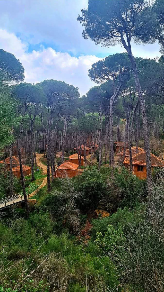 ImadSalamoun's tweet photo. بيت الغابة (La Maison de la Forêt) هو منتجع سياحي بيئي يقع في غابة صنوبر "بكاسين" في قضاء جزين. يبعد المنتجع حوالي 70 كيلومتراً عن العاصمة بيروت. يمثل ملاذاً مثالياً للاسترخاء والابتعاد عن صخب الحياة اليومية.
 La Maison de la Foret in Bkassine - Jezzine District.
Green Lebanon https://t.co/ie6Y7TLuFy