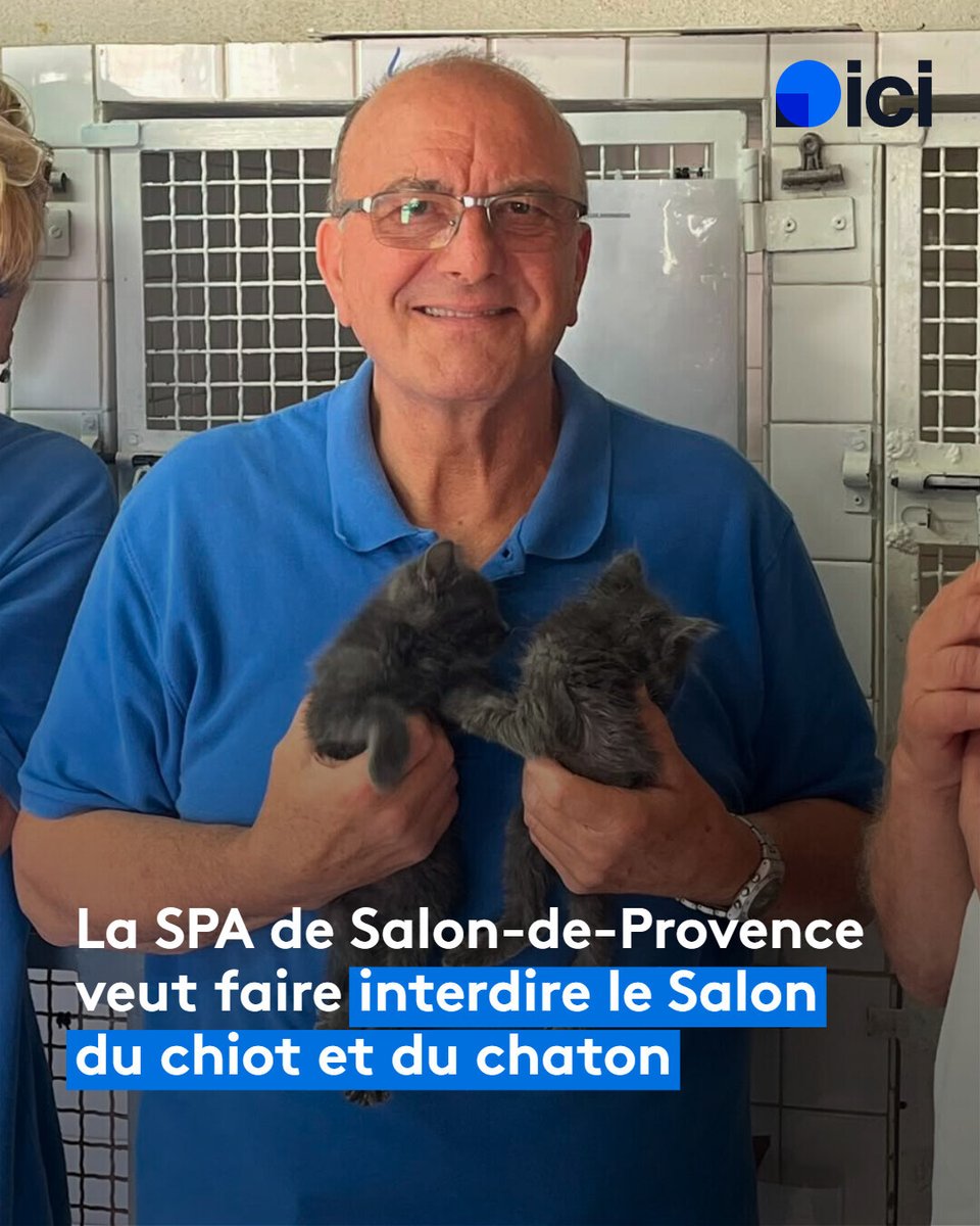 ici_provence's tweet photo. 🎙️ "Ce sont des achats compulsifs" estime le président de la SPA de Salon-de-Provence qui se mobilise contre le Salon du chiot et du chaton organisé les 27 et 28 juin sur sa commune.

LIRE ICI ➡️ https://t.co/Rk2AzsQvpV https://t.co/nJlSsP9jOw