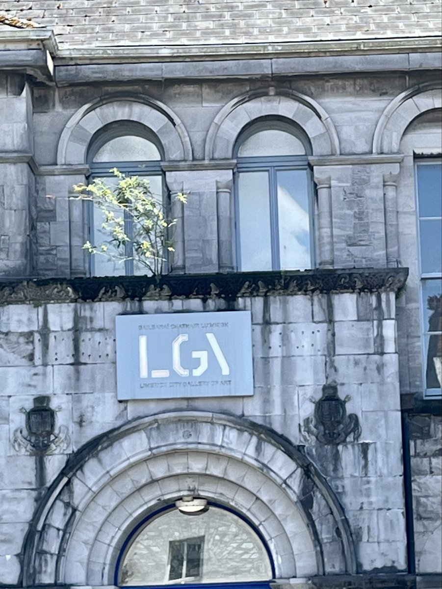 limerickguide tweet picture