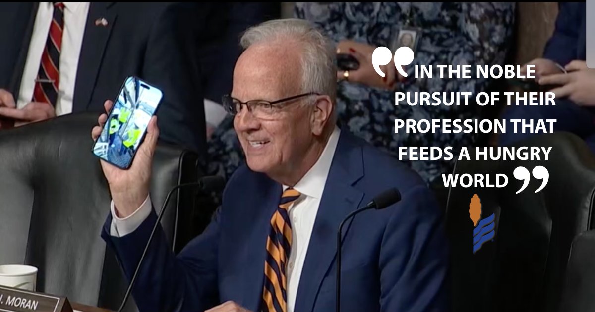 SorghumGrowers's tweet photo. Food for Peace empowers American sorghum farmers to help feed the world. 
Today, Sen. Jerry Moran highlighted the loading of 400,000 bushels of U.S. sorghum bound for Africa through the Food for Peace program, underscoring the important role American agriculture plays in addressing global food insecurity.  

NSP thanks Senator @JerryMoran, @SecRollins, Under Secretary @LukeJLindberg and @USDA for their continued leadership of Food for Peace and their commitment to strengthening this critical program.