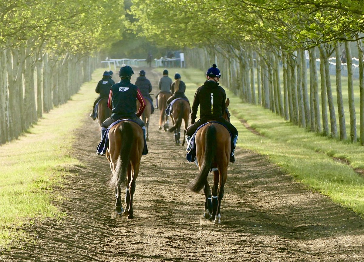 CollingsBerry's tweet photo. Bow Echo and Jack Callan, right, following the string home this morning. https://t.co/RNPf9bNAiT