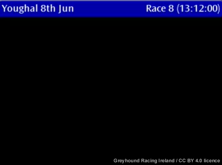 banbloodsports's tweet photo. Greyhound Racing Ireland is HIDING video footage of Race 8 at Youghal track on Monday (8 June 2026) during which greyhound Shebeen Oulsport was knocked over and did not register a finishing time. Don't go greyhound racing. #Ireland #BanGreyhoundRacing https://t.co/hXLIyY7ikq