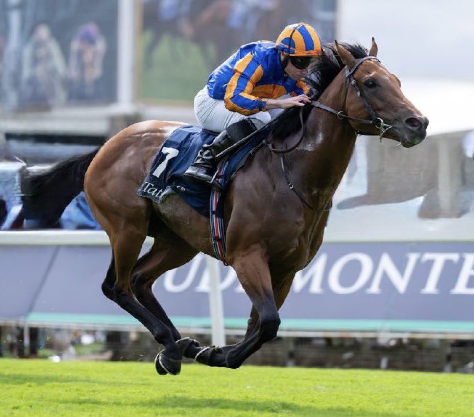 invasion_Hipica's tweet photo. 🇮🇪🏇 Lamentable noticia en el mundo hípico

The Lion In Winter, uno de los caballos más talentosos de la cuadra de Aidan O’Brien, tuvo que ser sacrificado tras sufrir una fractura durante un entrenamiento en Ballydoyle. El ejemplar estaba siendo preparado para correr la próxima semana en Royal Ascot. 

Hijo de Sea The Stars, The Lion In Winter fue considerado en su momento uno de los principales candidatos al Derby de Epsom y dejó actuaciones destacadas a nivel internacional. Entre sus logros figuran sus victorias en el Acomb Stakes (G3) y el Heritage Stakes, además de múltiples figuraciones de Grupo 1.

Aidan O’Brien confirmó la triste noticia indicando que el caballo sufrió una fractura en los entrenamientos y no pudo ser salvado.