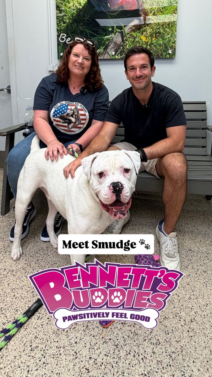 new965philly's tweet photo. This week on #BennettsBuddies with the @pspca, meet Smudge! 🐾

Smudge is a sweet, loving pup with a heart as big as his smile. While he is deaf, he navigates life beautifully using visual cues, routines, and lots of affection. ❤️ https://t.co/0NTLI015Rx